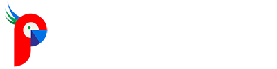 Palette4web logo